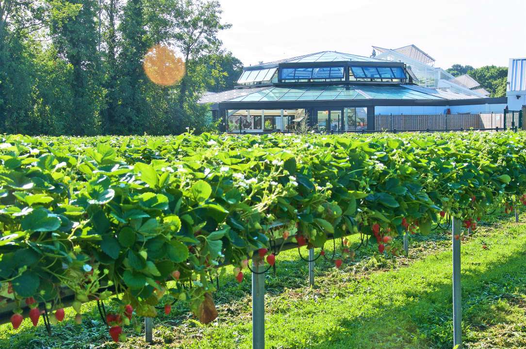 Sustainability Garsons